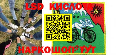 крисы Коммунар
